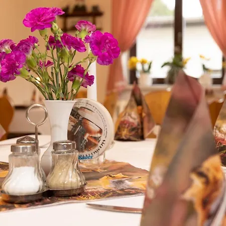 Hotel Carola *
