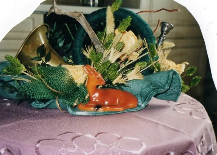 Carola Отель Ольбернхау